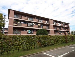 鍋屋上野住宅８号棟(103)