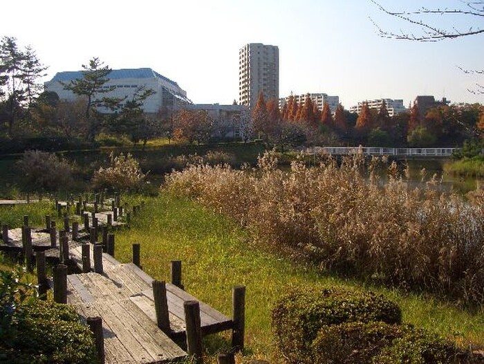 杁ケ池公園(公園)まで250m パティオ杁ヶ池