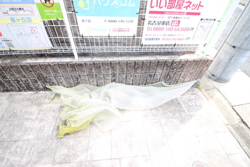 その他 グランツ