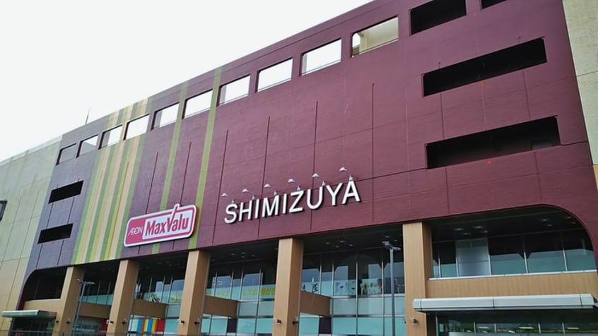 清水屋(ショッピングセンター/アウトレットモール)まで514m ルーミナスタウン　1号棟