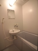 バス／シャワールーム等 アンプルールフェールVert