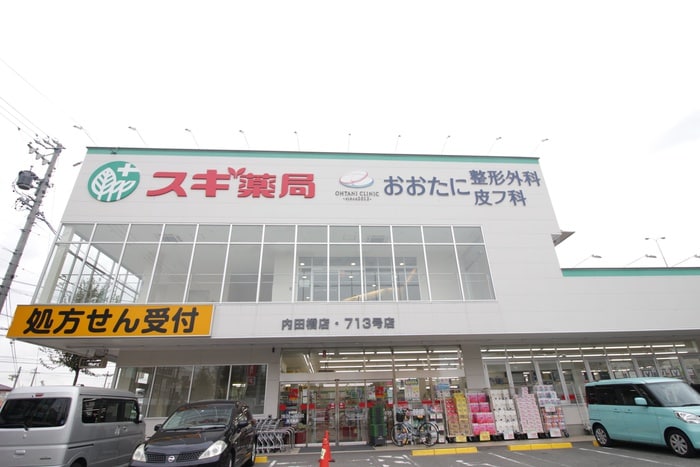 スギ薬局(ディスカウントショップ)まで400m オルソパール伝馬