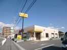 ジョイフル(その他飲食（ファミレスなど）)まで430m E-city京町