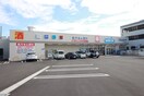 ウエルシア三河安城本町店(ドラッグストア)まで533m アピオン