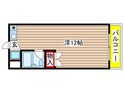 パークサイド樹里の間取図