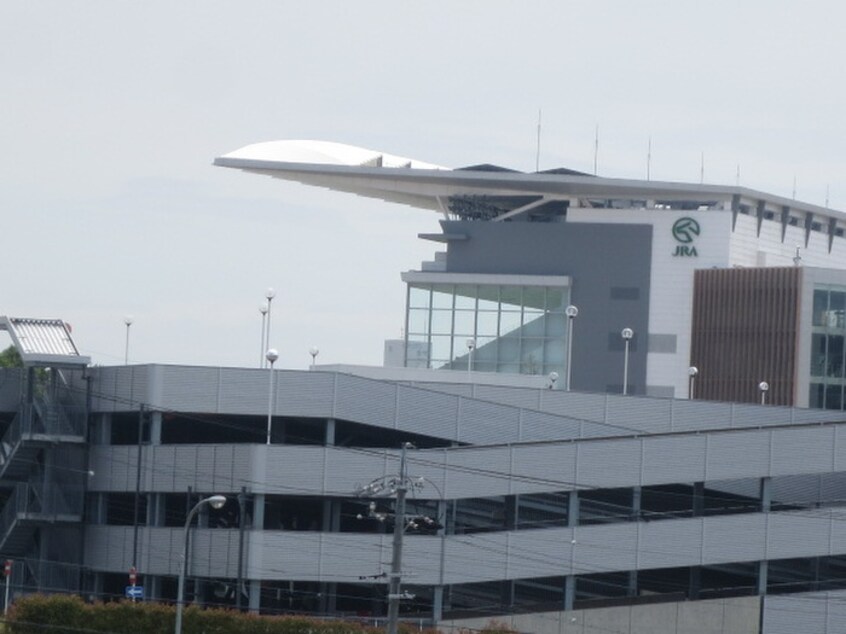 中京競馬場(美術館/博物館)まで1370m 姥子山ペアハウス