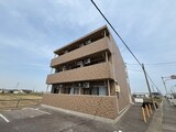 ロイヤルサルビア