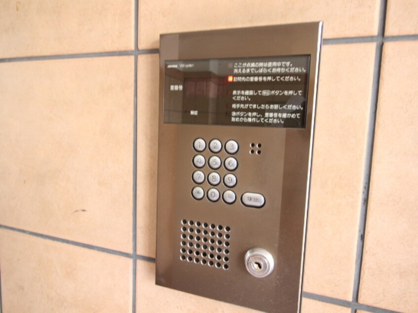 その他 アイン橘