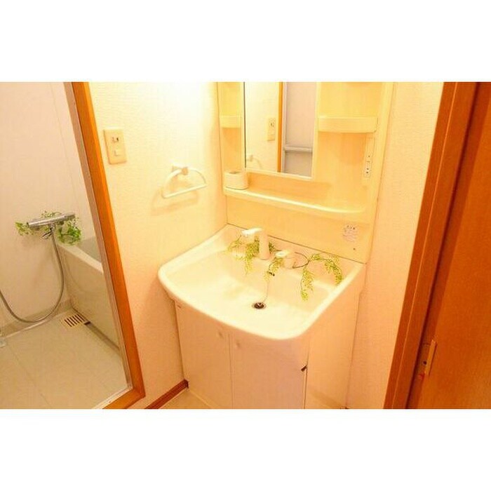 洗面 プレシャス鴨付