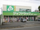 ジップドラッグ白沢権現通店(ドラッグストア)まで670m Ｗｉｓｄｏｍ