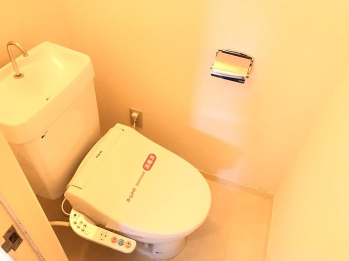 トイレ ロイヤルガ－デンＫ