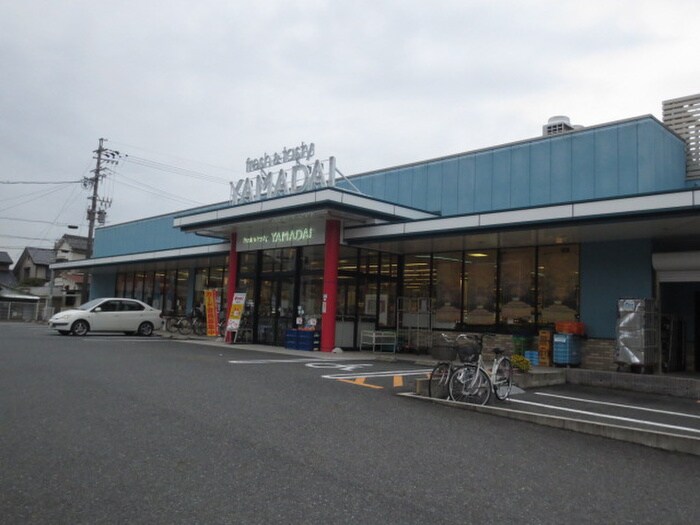 ヤマダイ瑞穂店(スーパー)まで717m メゾン篠田