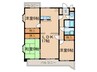 ジュネス ＳＡＮＯＨ 3LDKの間取り