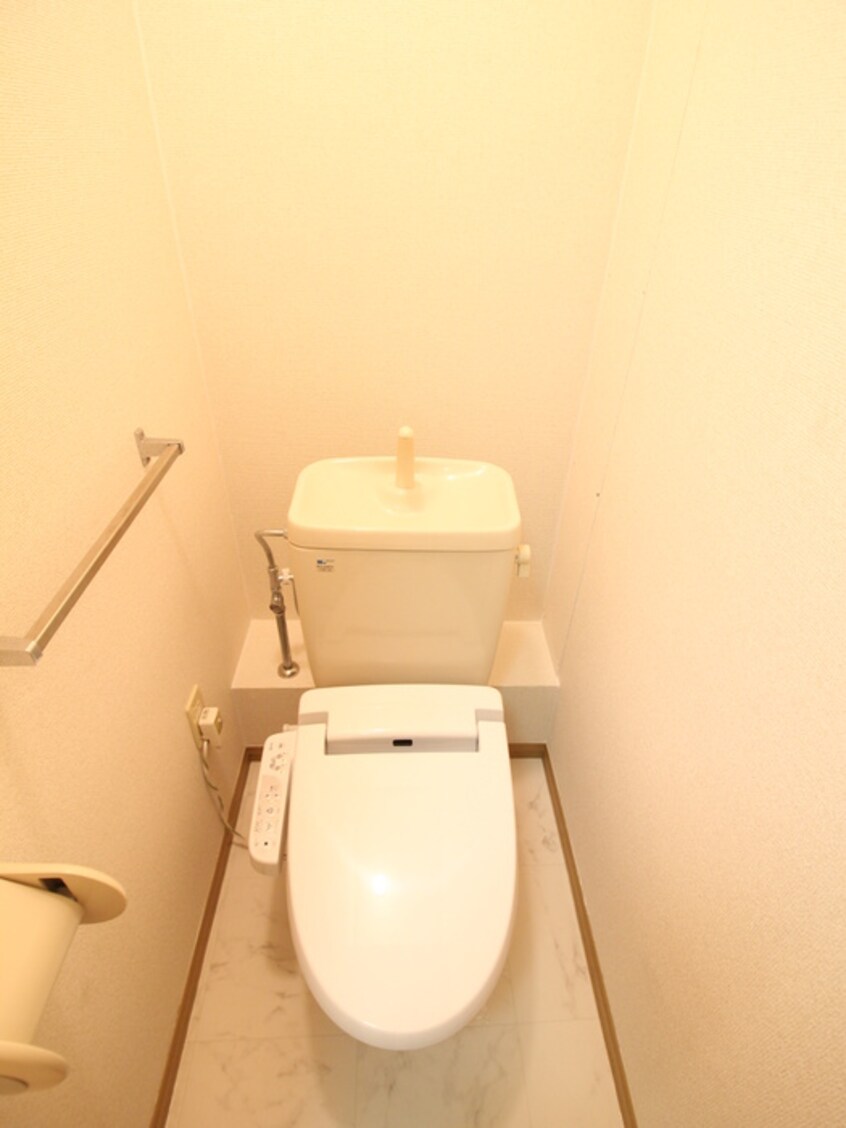 トイレ テリオス