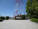 市民四季の森(公園)まで1200m セジュール野口