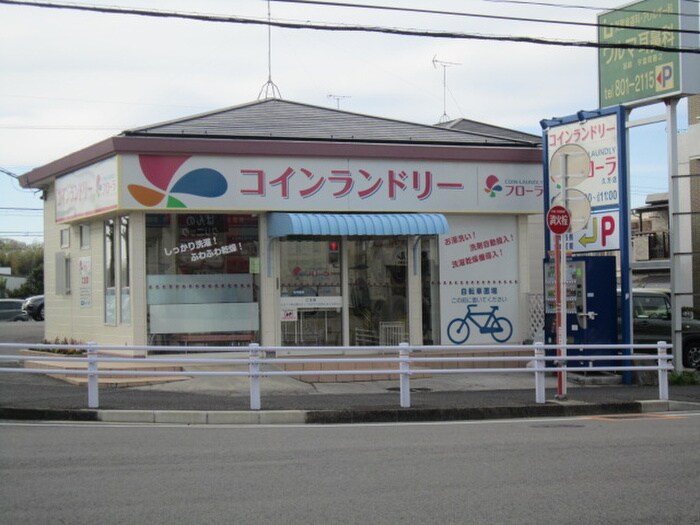 コインランドリー(電気量販店/ホームセンター)まで264m サクセス山根