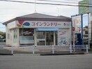 コインランドリー(電気量販店/ホームセンター)まで264m サクセス山根