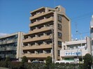 サンズコ－ポ市場木の外観