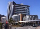 名古屋セントラル病院(病院)まで1100m サン・アペックス名駅