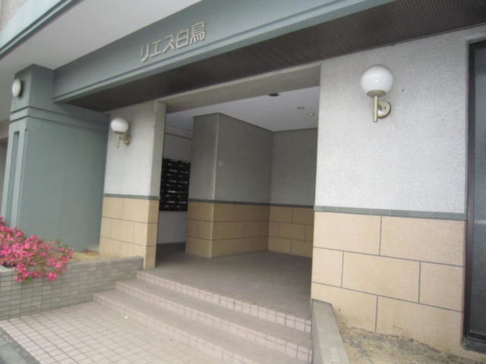 エントランス部分 リエス白鳥