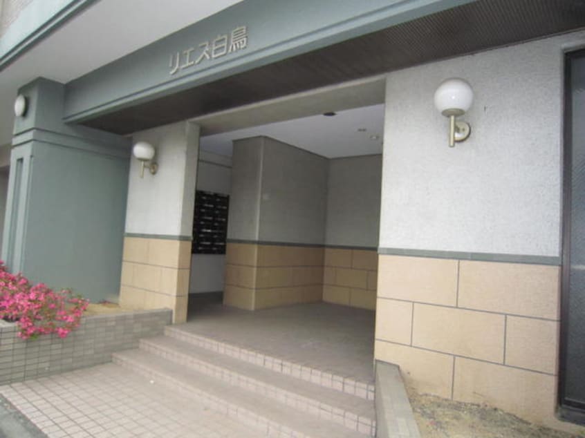 エントランス部分 リエス白鳥