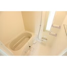 バス／シャワールーム等 Grandtic　Moralis N