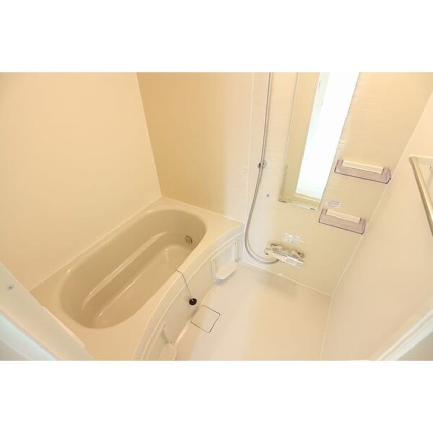 バス／シャワールーム等 Grandtic　Moralis N