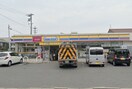 ミニストップ(コンビニ)まで414m オーラムⅡ