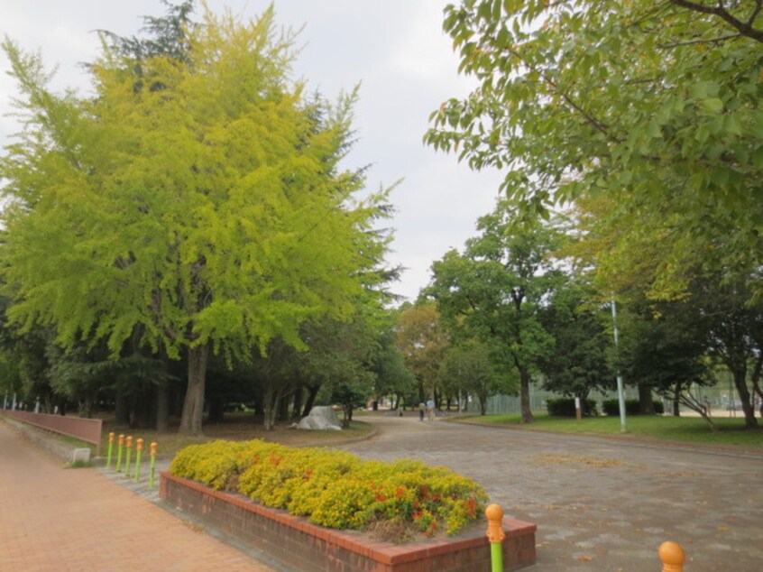 千種公園(公園)まで310m パール第一ビル