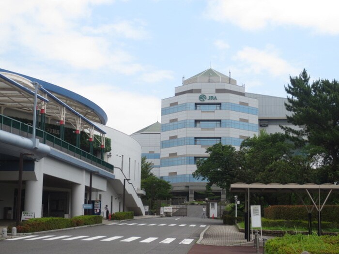 中京競馬場(映画館)まで2100m エポック三丁山