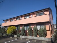 アンプルールリーブルモルフォ