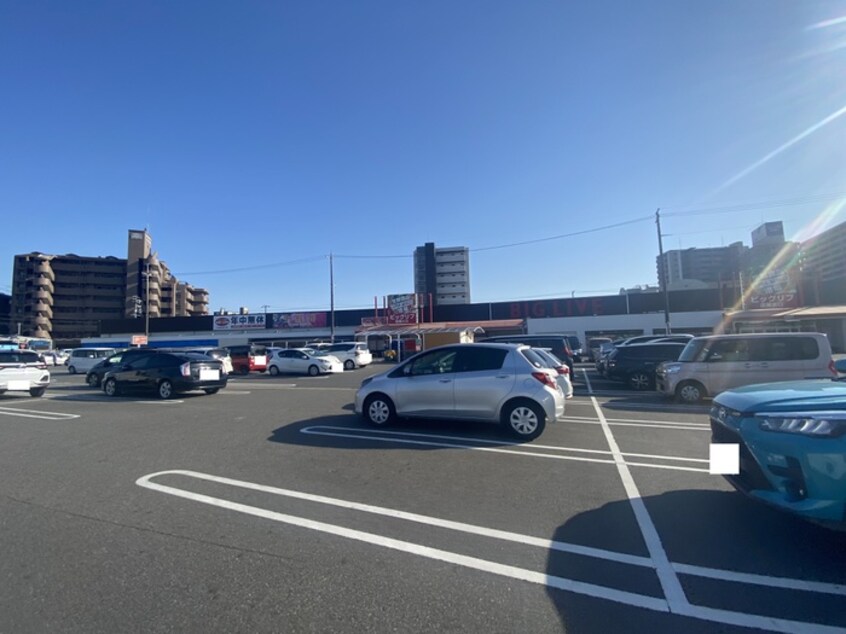 ビッグリブ(スーパー)まで244m A・City三河安城北館