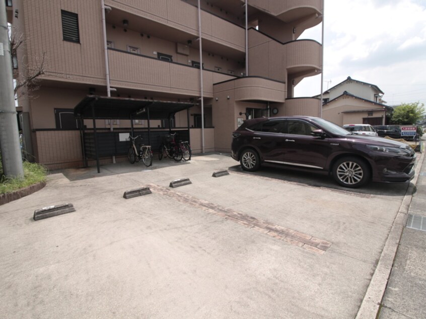 駐車場 ローズ