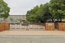 名古屋市立味鋺小学校(小学校)まで350m ハ－モニ－エストＣ棟