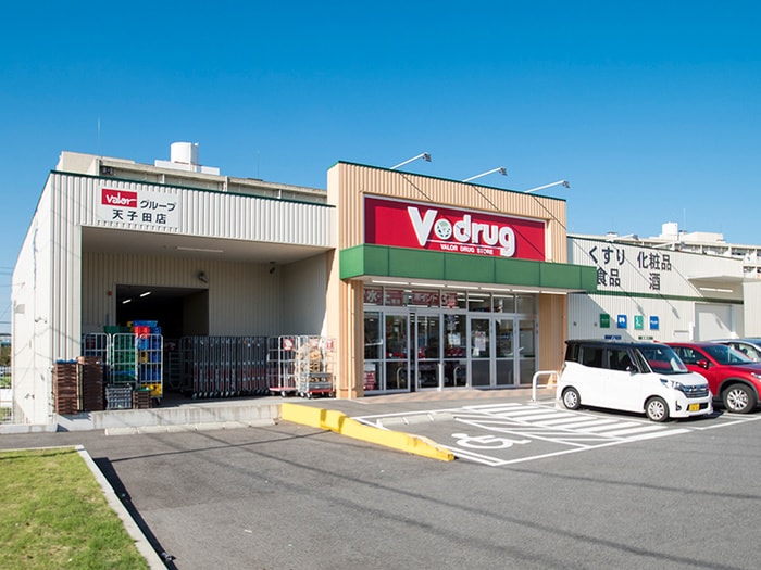 Vdrug(ドラッグストア)まで719m E.S.プレミア