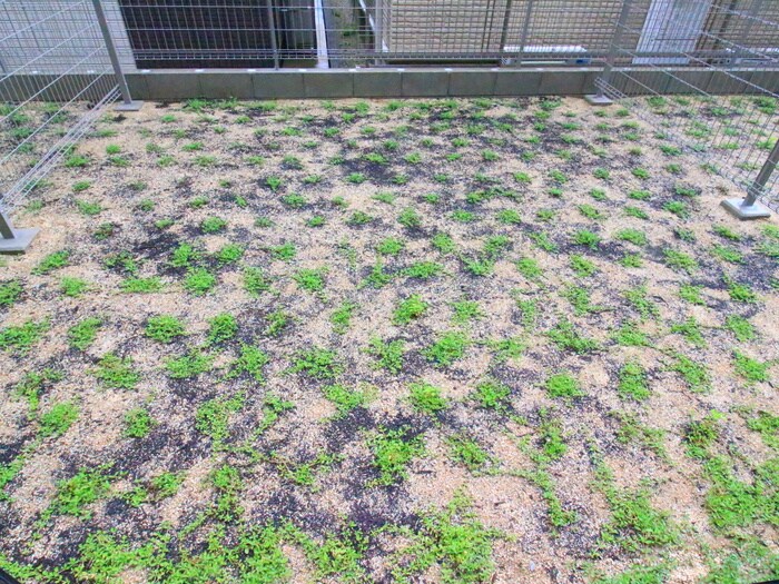 ベランダ・バルコニー クレストタップ名古屋ウエスト