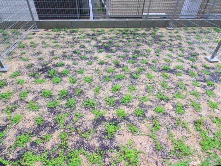 ベランダ・バルコニー クレストタップ名古屋ウエスト