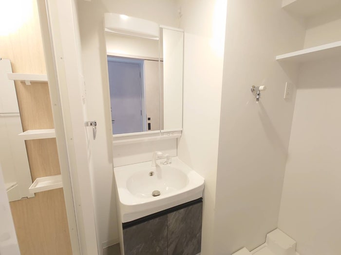 洗面 プレイズシード車道アベニュー