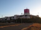 イオン(ショッピングセンター/アウトレットモール)まで1122m エトワール