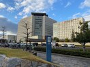 名古屋第一赤十字病院(病院)まで430m FERIO中村