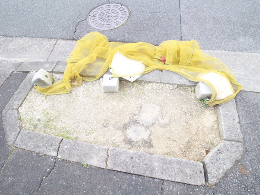 その他 テラス植田山