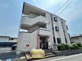 プリマベ－ラ