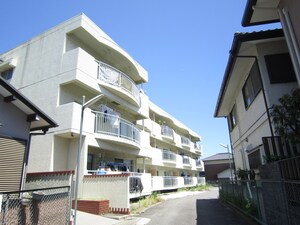 ニッシンメゾン菊寿台