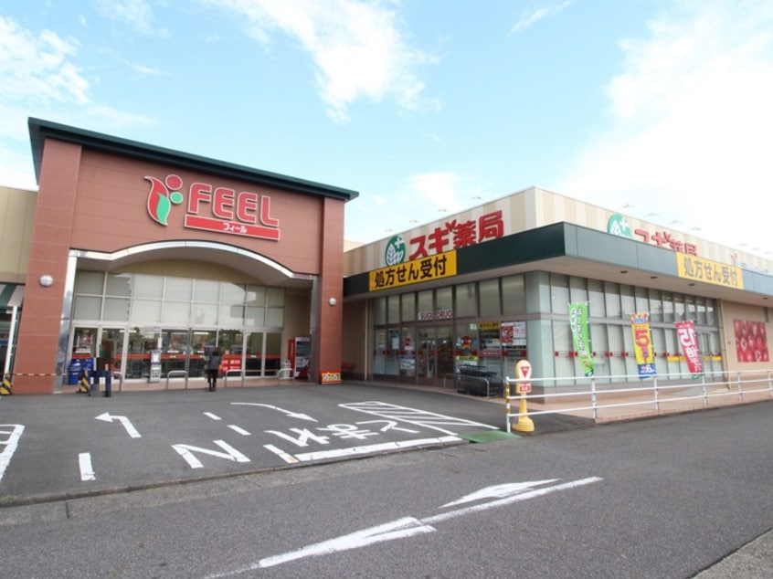 フィール(スーパー)まで500m ロッシェド長須賀Ⅱ