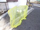 その他 プレドジャルダン正木