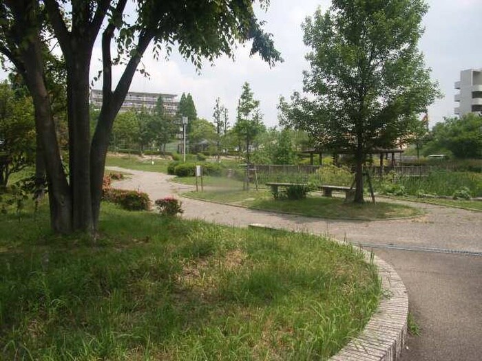 植園公園(公園)まで800m シャンポ－ル幹　Ｉ