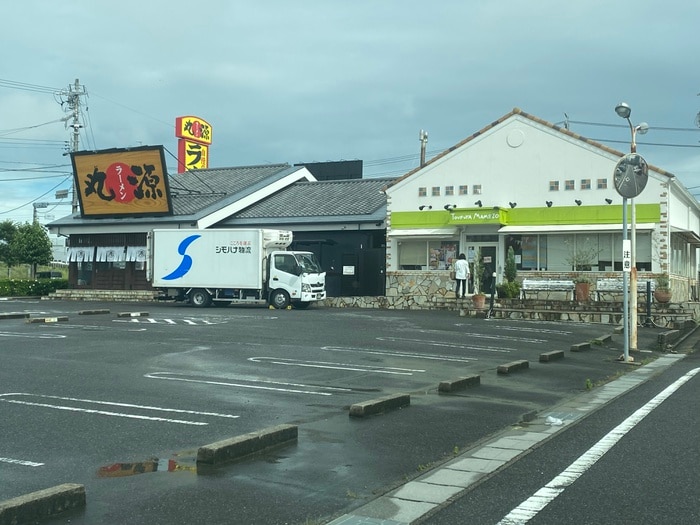 丸源ラーメン　知立店(その他飲食（ファミレスなど）)まで228m グリ－ンセブン