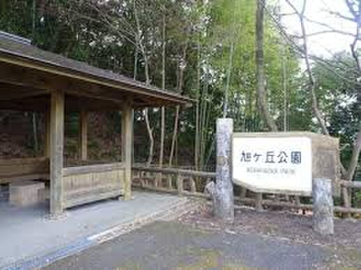 旭が丘公園(公園)まで565m クレイントータス