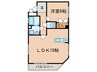 光ビル 1LDKの間取り