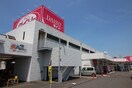 ダイソー　春日井朝宮店(100均)まで540m メゾンユ－ラップ